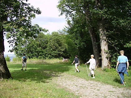 Forêt de Ripaille