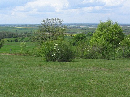 Les pelouses sèches des Monts de Gy