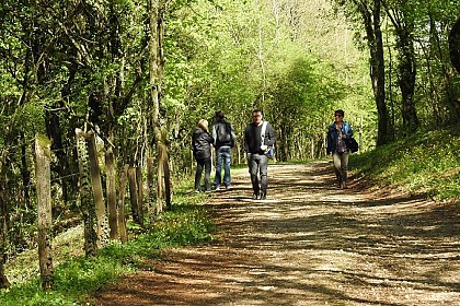 Plateau de Cita