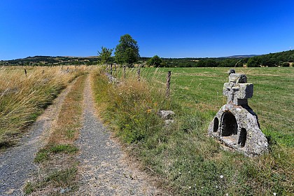 Découverte des mégalithes