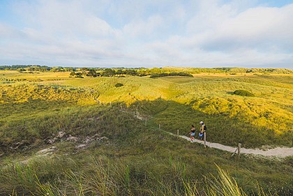 Les dunes d'Annoville