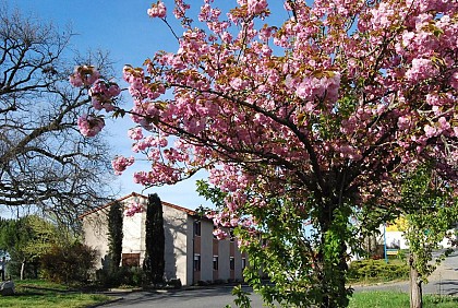 Restaurant du Lac - Graulhet