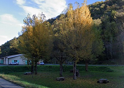 Picnic area of La Condomine