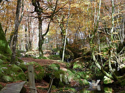 Cascade de la Tine