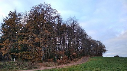 Le Mont Botey