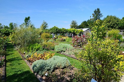 The Conservatory of medicinal plants