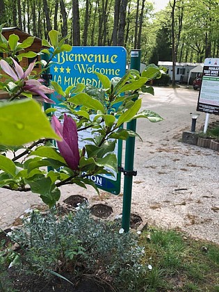 Camping-Caravaning "La Musardière"