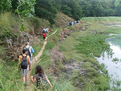Maritime marshes