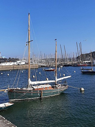 Port de la Trinité-sur-Mer