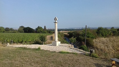 BELVÉDÈRE DE LA VIGNE DU CLOS IN REMIS