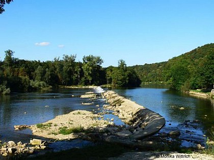 Camping municipal des Isles du Pays-de-Clerval