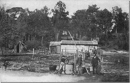 Cabane de résinier