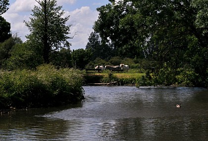 Ecoparc des Chénevières