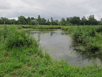 Les prairies de l'Arnon