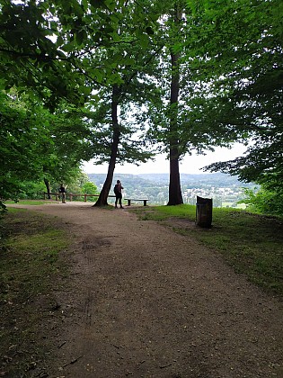 Point de vue de la forêt de Gif-sur-Yvette
