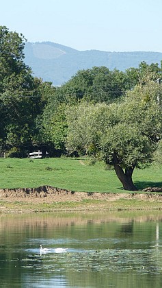 La Saône et magnifique panorama sur les Monts du Beaujolais
