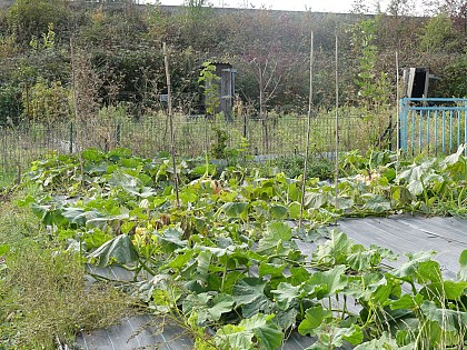 Les Jardins Familiaux