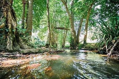 Le Vallon de la Dollée