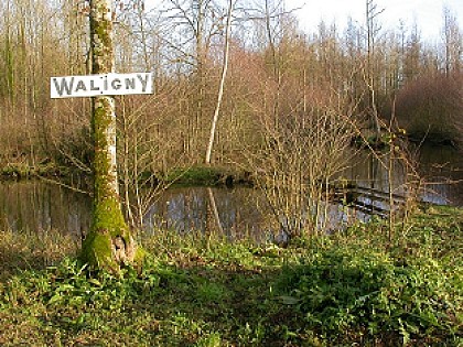 L'étang de Waligny (The Waligny pond)