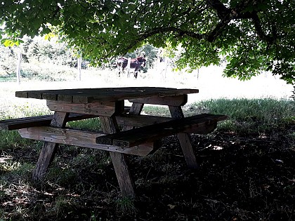 Pelouse de la ferme des Combes