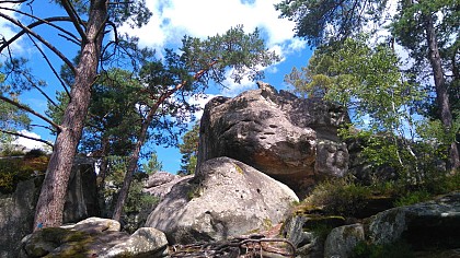 Forêt Domaniale de la Commanderie