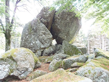 Pierres Druidiques