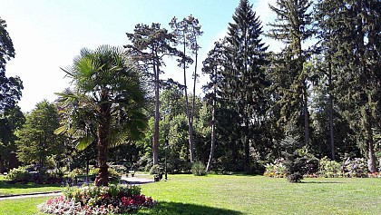 Jardin anglais