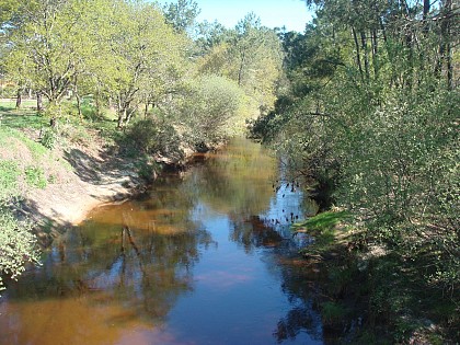 Le Canal des Etangs