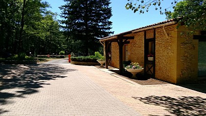 La Forêt