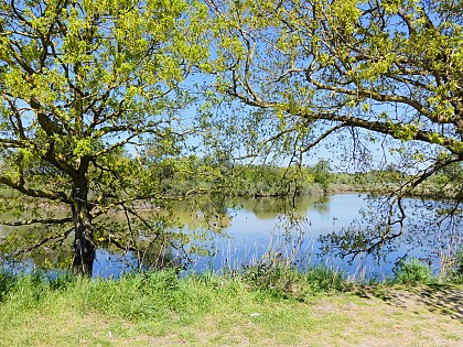 Aire de pique-nique du Port Ostréicole