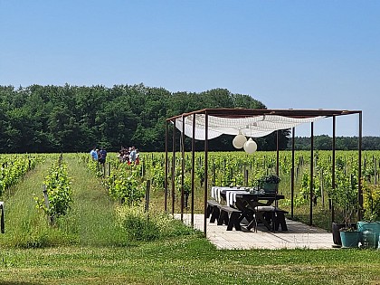 L'Apéro dans les Vignes au Château Hourtin-Ducasse