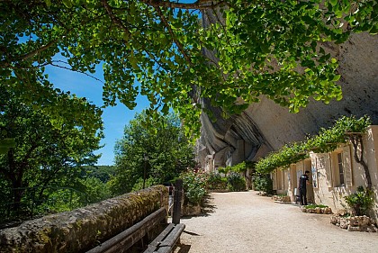 Abris Préhistoriques de Laugerie Basse