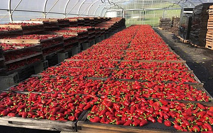 Atelier du Piment