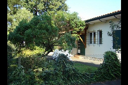 Maison avec jardin clos