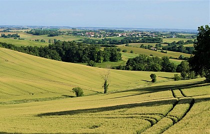 Point de vue Lamarque