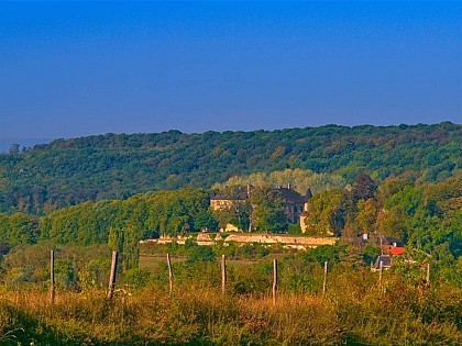 Hombourg-Budange Castle