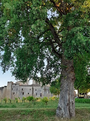 VILLAGE FORTIFIE DE LARRESSINGLE