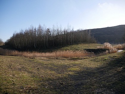 Le pied du terril 116 117