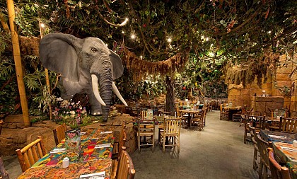 Rainforest Café