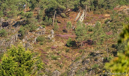 VIEW OF LES GRÉES