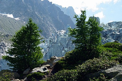 Télécabine de Plan-Joran (Lognan - Les Grands-Montets)