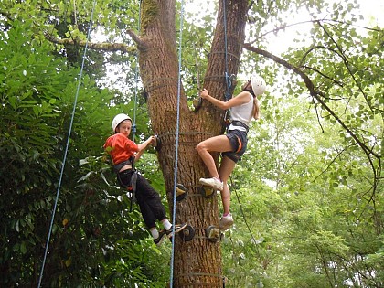 Escalad'arbres Pays d'Argentat