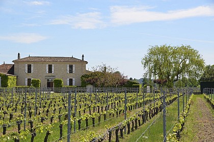 Château La Renommée
