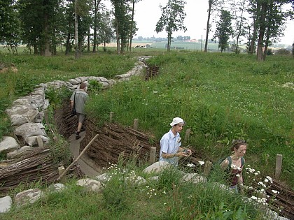 Bayernwald