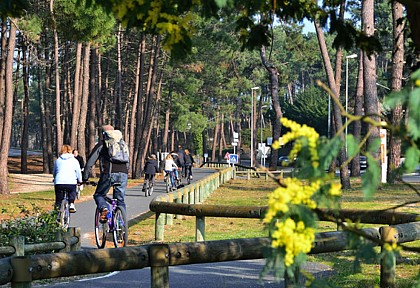 Halte de repos vélos Lacanau Plage sud