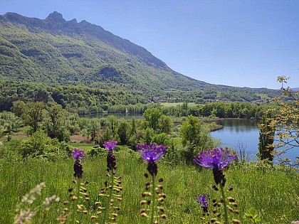 Lacs et Marais de Saint Jean de Chevelu