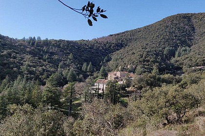 Camias et son agriculture