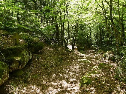 Le chemin des Morts