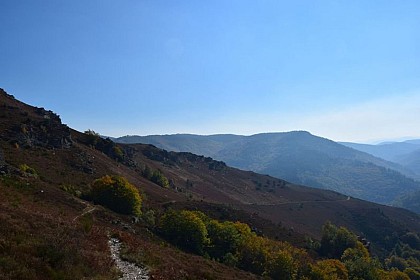 Heathland