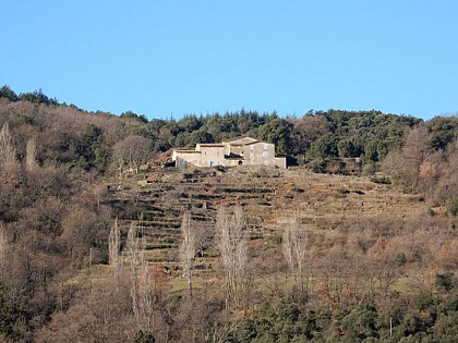 Terrasses du Mas Bourguet